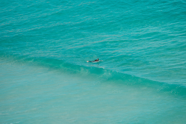 ‘A Good Tan’: notes from a slow life of surfing and writing