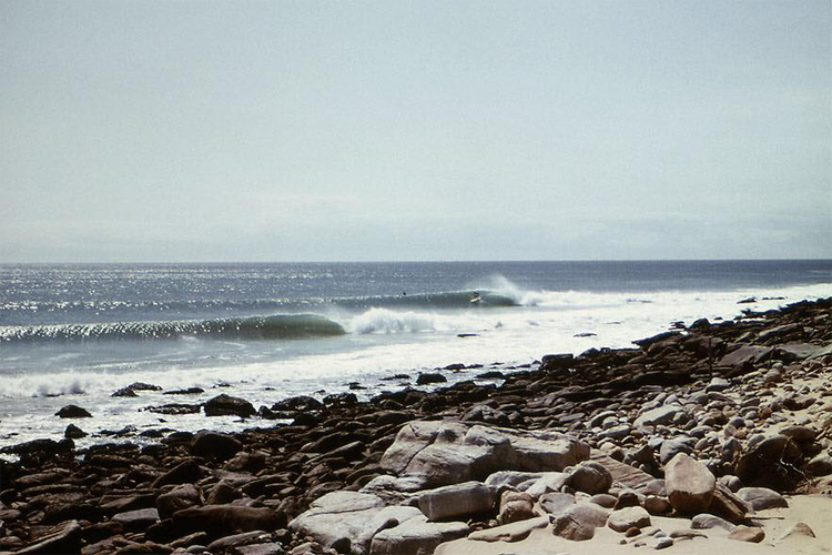 The rebirth of Bruce’s Beauties in Cape St. Francis