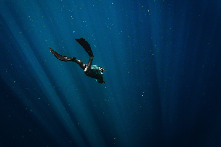 Why every surfer should add freediving to their skillset