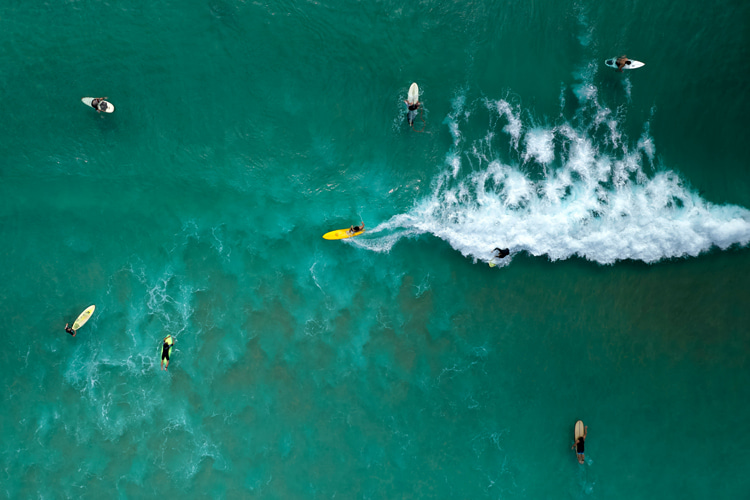 The unseen poem written to guide a surf film’s actors