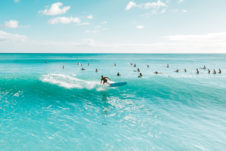 The ultimate Christmas gift guide for surfers